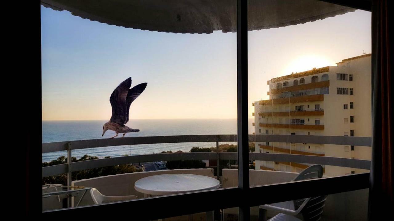 Ocean View By Encantos Do Algarve - 910 بورتيماو المظهر الخارجي الصورة